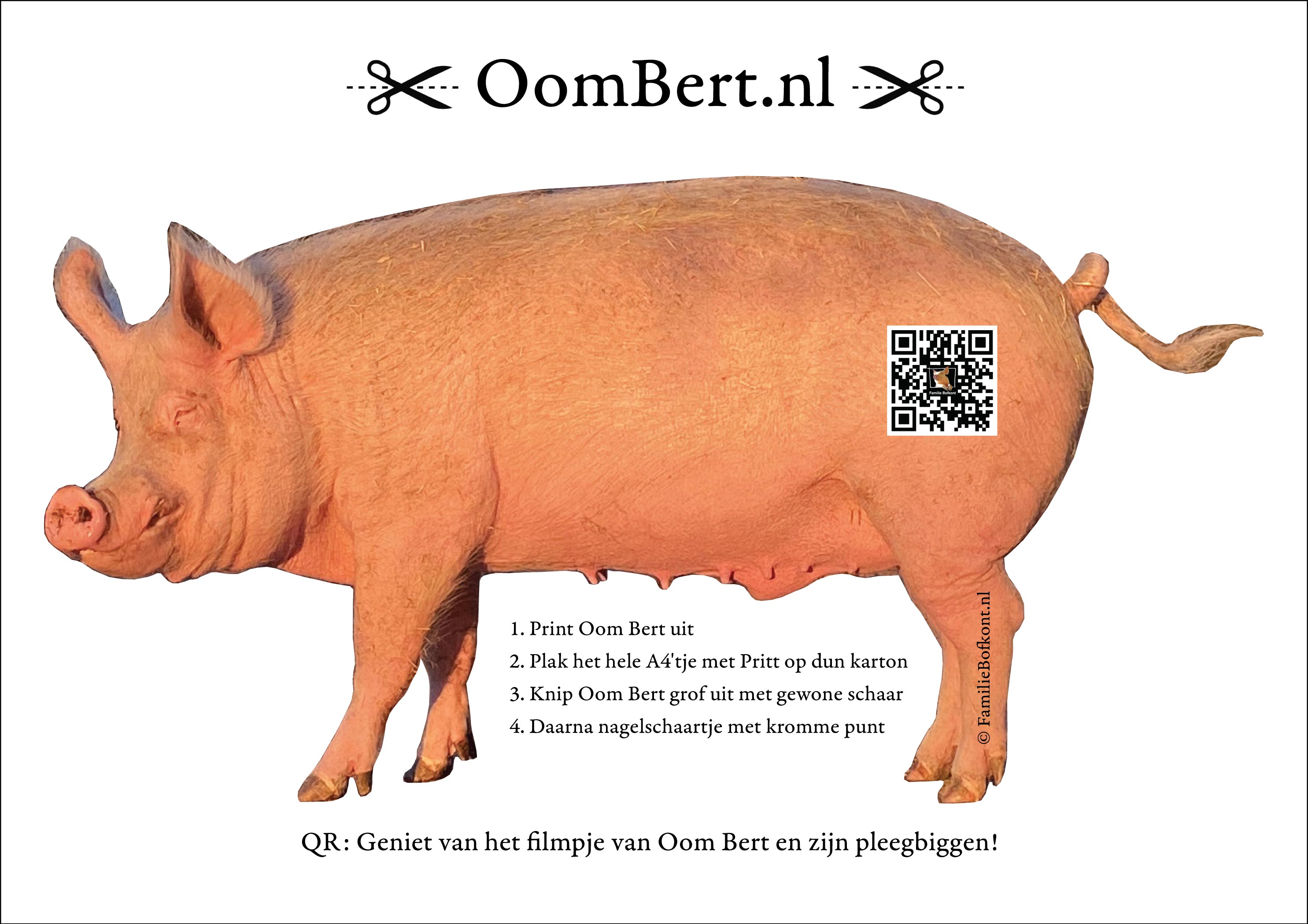 https://oombert.nl/download-Oom-Bert.pdf